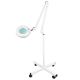 Magnifying Lamp with roller stand & adjustable intensity light 